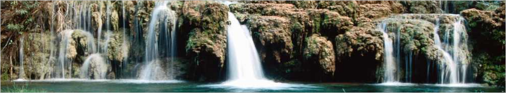 desratizaci&oacute;n - desinsectaci&oacute;n-desinfeccion-fumigaciones -control ambiental de roedores, ratones